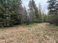 NKA Elderberry Road, Bonners Ferry, ID 83805
