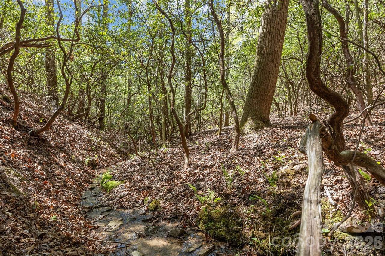 78 Bird Creek Estates Road, Black Mountain, NC 28711