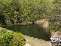 78 Bird Creek Estates Road, Black Mountain, NC 28711
