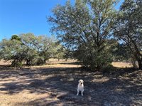4224 Smalls Creek Road, College Station, TX 77845