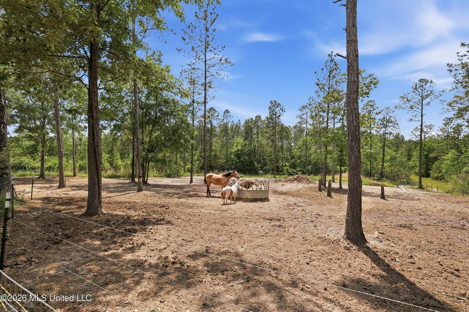 239 M P Parker Road, McHenry, MS 39561