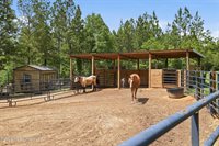 239 M P Parker Road, McHenry, MS 39561