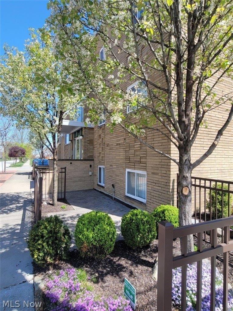 1675 Woodward Avenue, #3, Lakewood, OH 44107