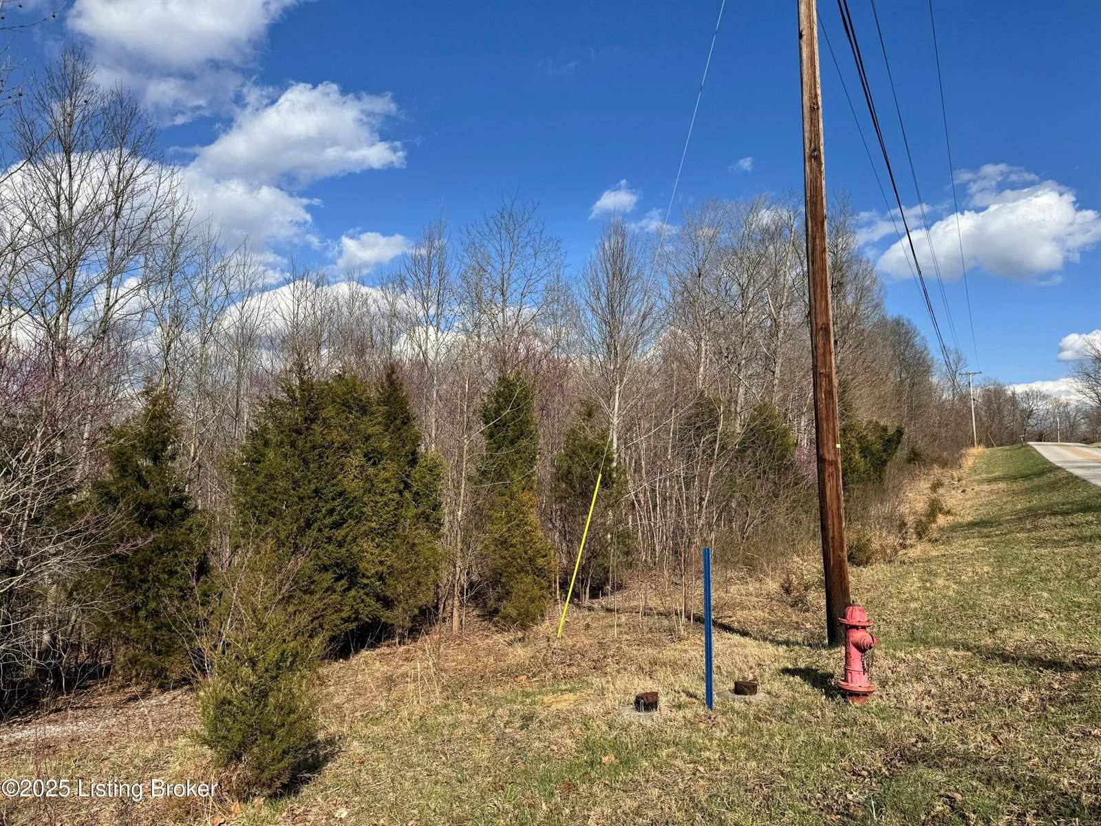 0 Cedar Flats Rd, Battletown, KY 40104