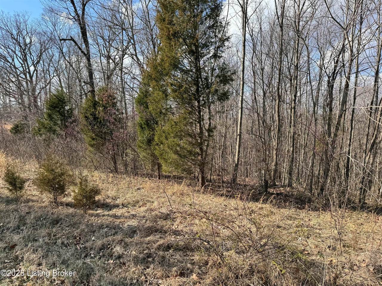 0 Cedar Flats Rd, Battletown, KY 40104