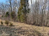 0 Cedar Flats Rd, Battletown, KY 40104