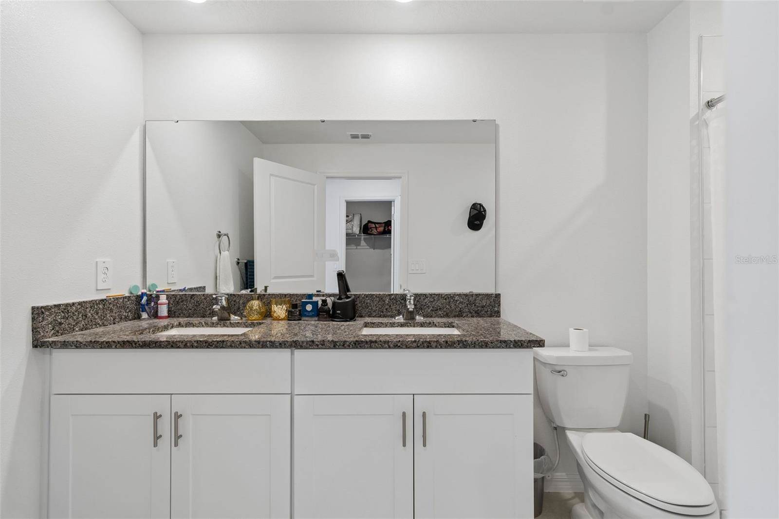 6076 Shiner Street, Land O Lakes, FL 34638