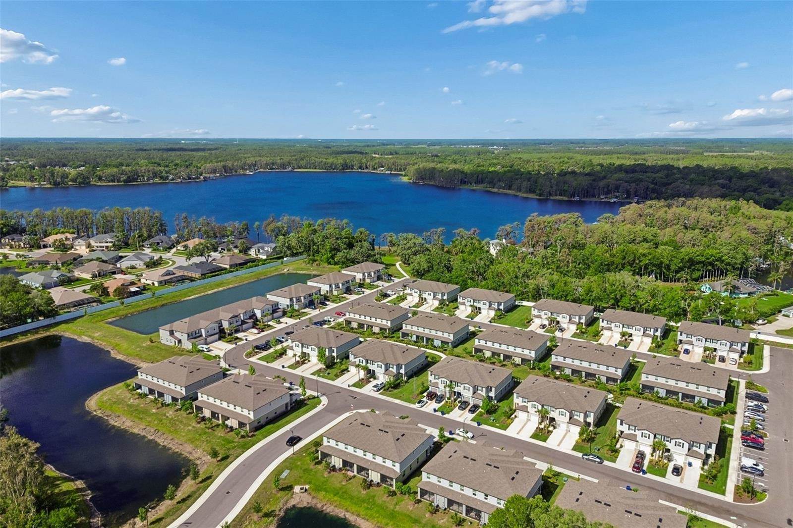 6076 Shiner Street, Land O Lakes, FL 34638