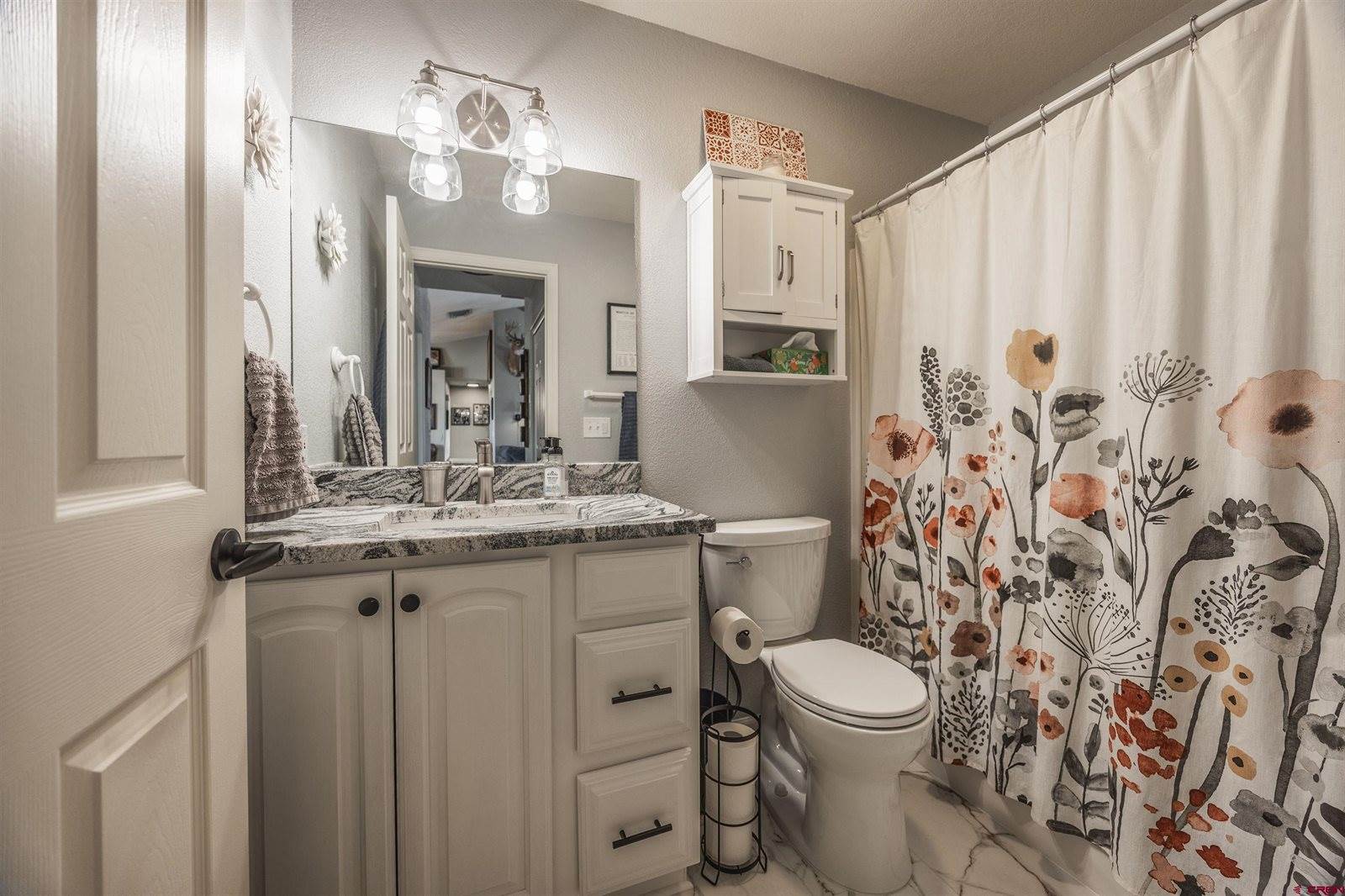 2324 Mead Lane, Montrose, CO 81401