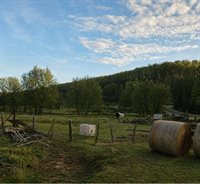 16047 Fry Drive, Cazenovia, WI 53924