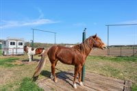 399 Satin Rd, Chilton, TX 76632