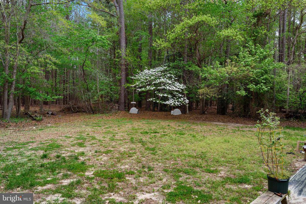 28830 Serenity Lane, Harbeson, DE 19951