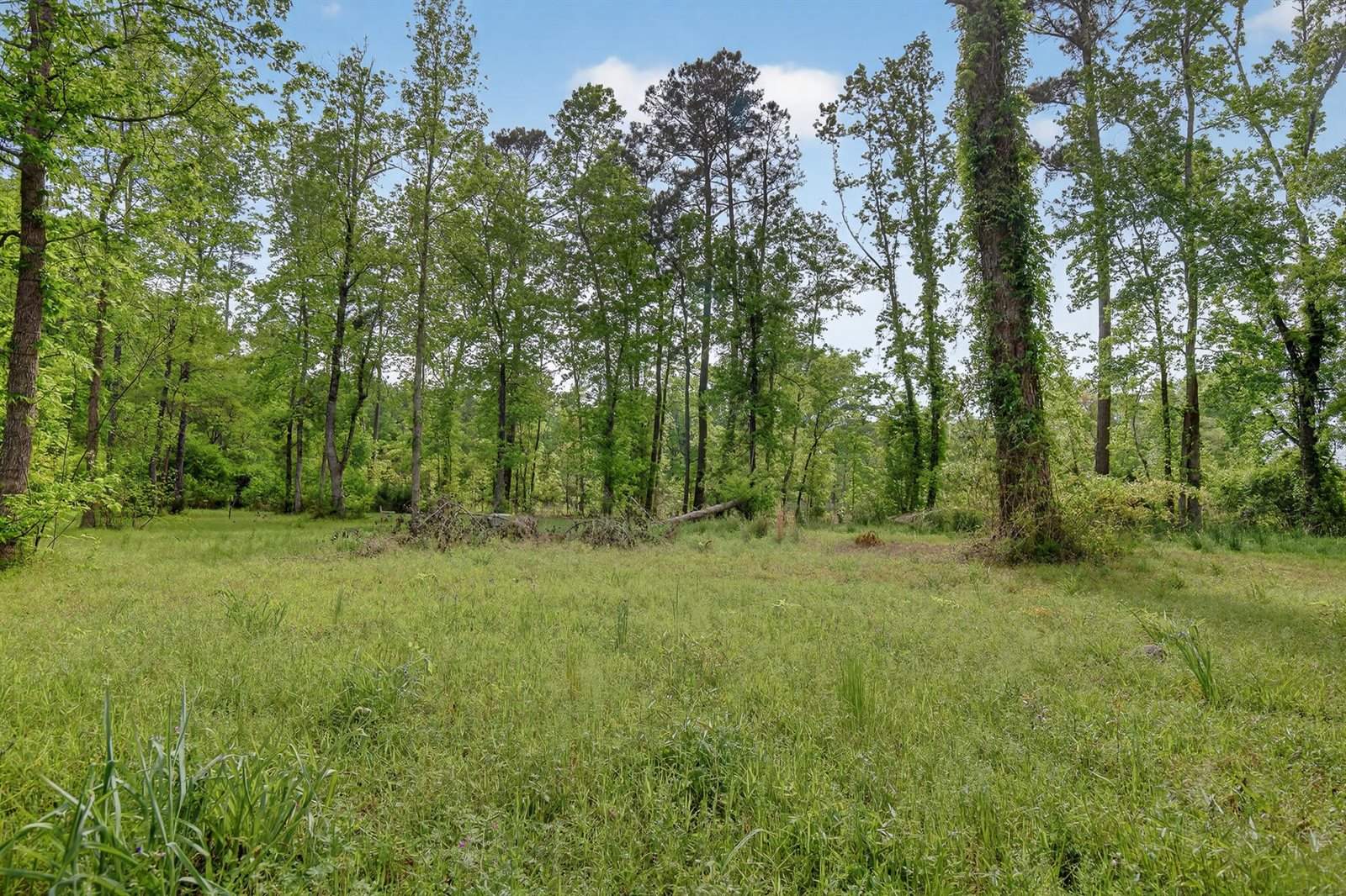 10180 Cottageville Highway, Cottageville, SC 29435