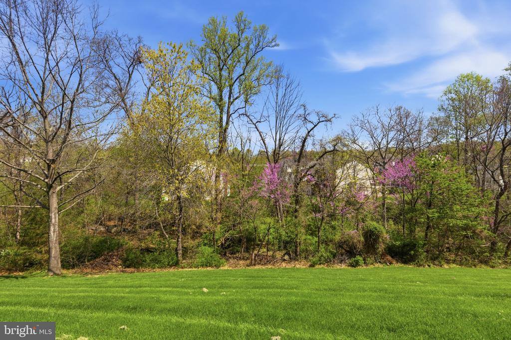43342 Coton Commons Drive, Leesburg, VA 20176