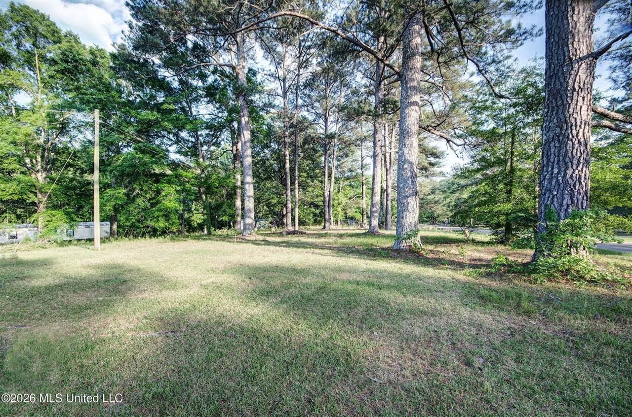 3394 Simpson Highway 149, Braxton, MS 39044
