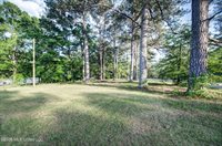3394 Simpson Highway 149, Braxton, MS 39044