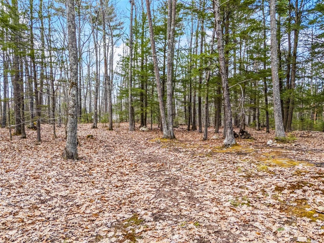 TBD Brunswick Road, Richmond, ME 04357