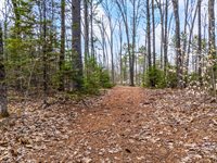 TBD Brunswick Road, Richmond, ME 04357