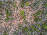 TBD Brunswick Road, Richmond, ME 04357
