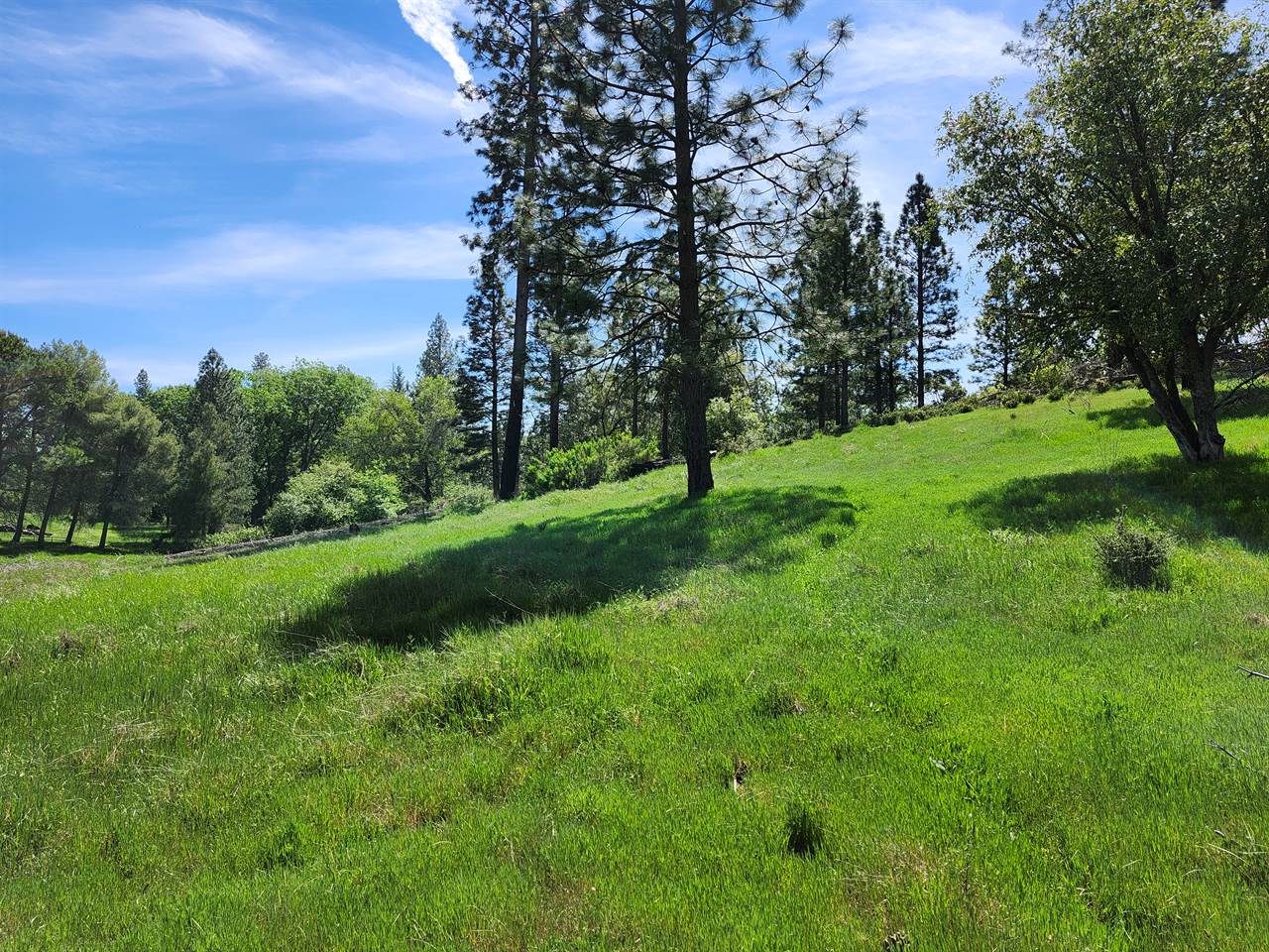 10006 Wendell Rd, Mountain Ranch, CA 95246