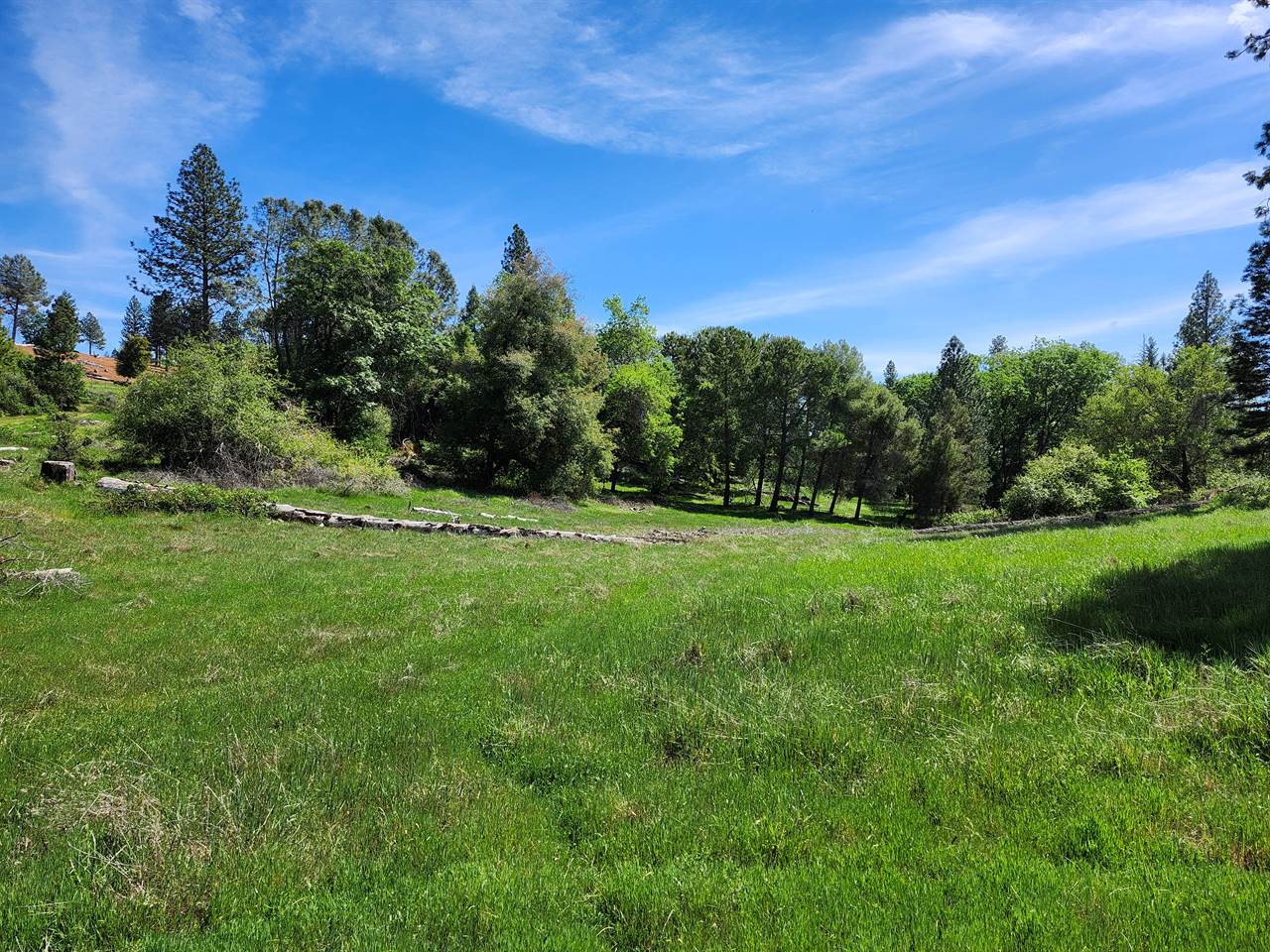 10006 Wendell Rd, Mountain Ranch, CA 95246