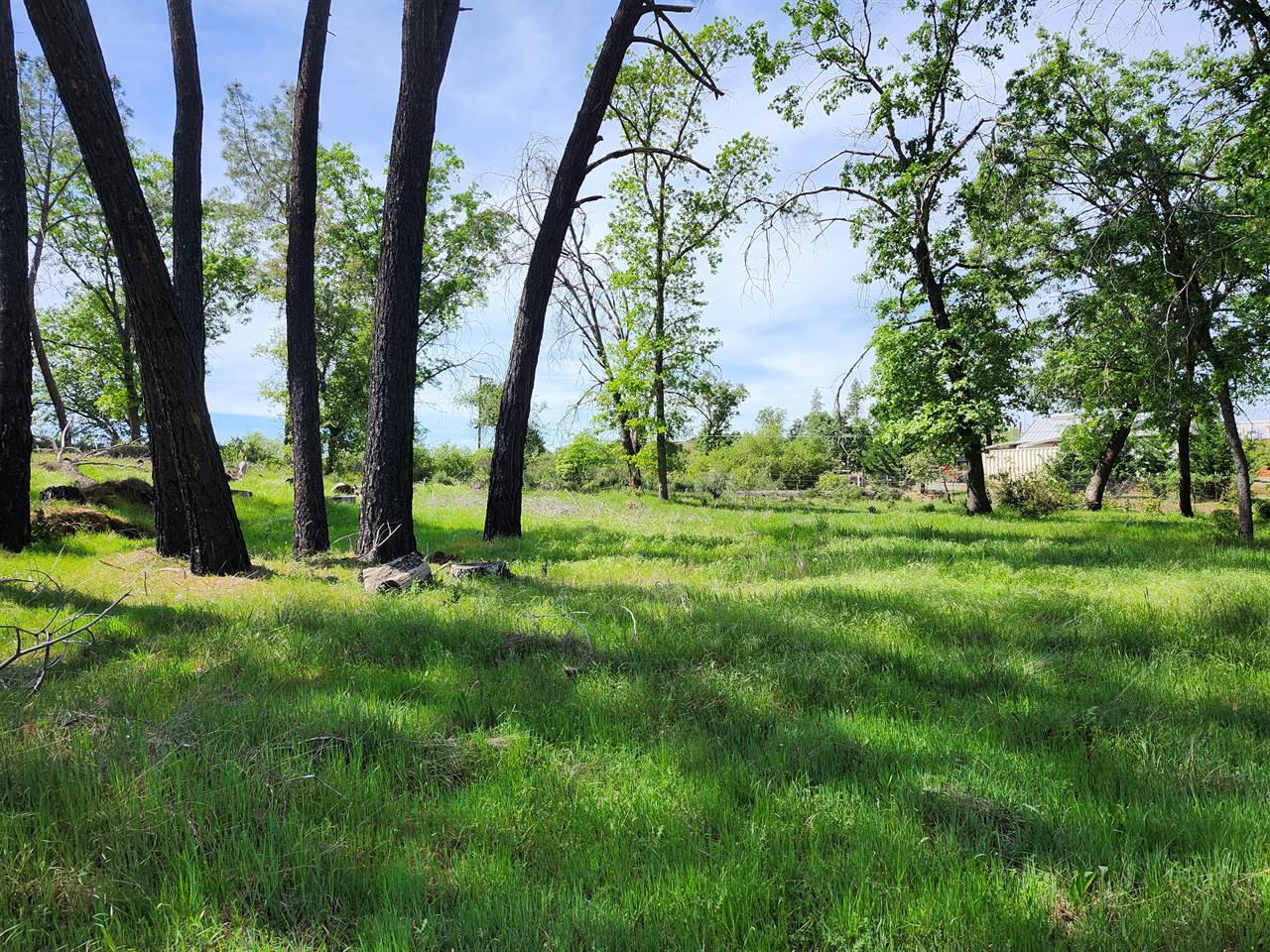 10006 Wendell Rd, Mountain Ranch, CA 95246