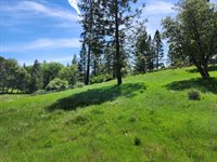 10006 Wendell Rd, Mountain Ranch, CA 95246