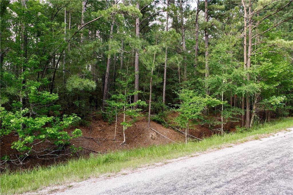 Lot 6 Willow Creek, Huntsville, TX 77340