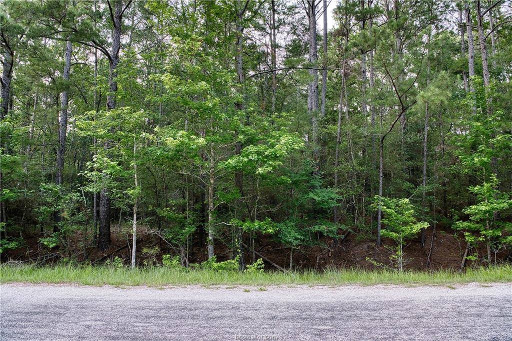 Lot 6 Willow Creek, Huntsville, TX 77340