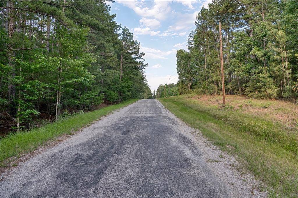 Lot 6 Willow Creek, Huntsville, TX 77340