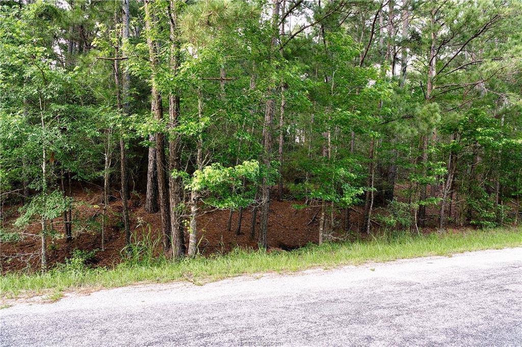 Lot 6 Willow Creek, Huntsville, TX 77340