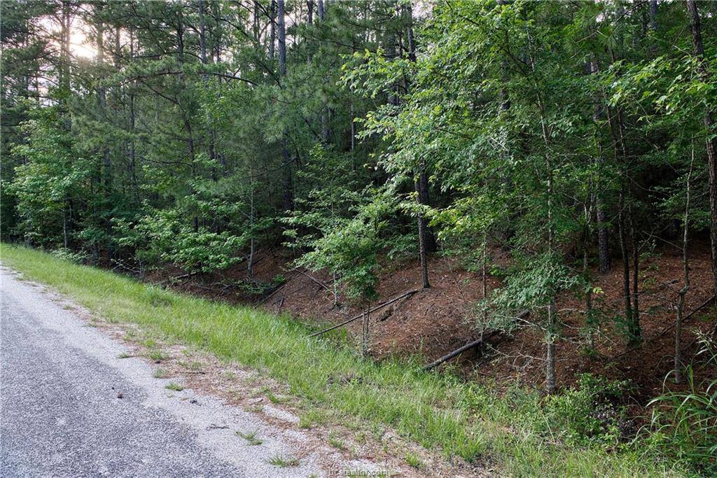 Lot 6 Willow Creek, Huntsville, TX 77340