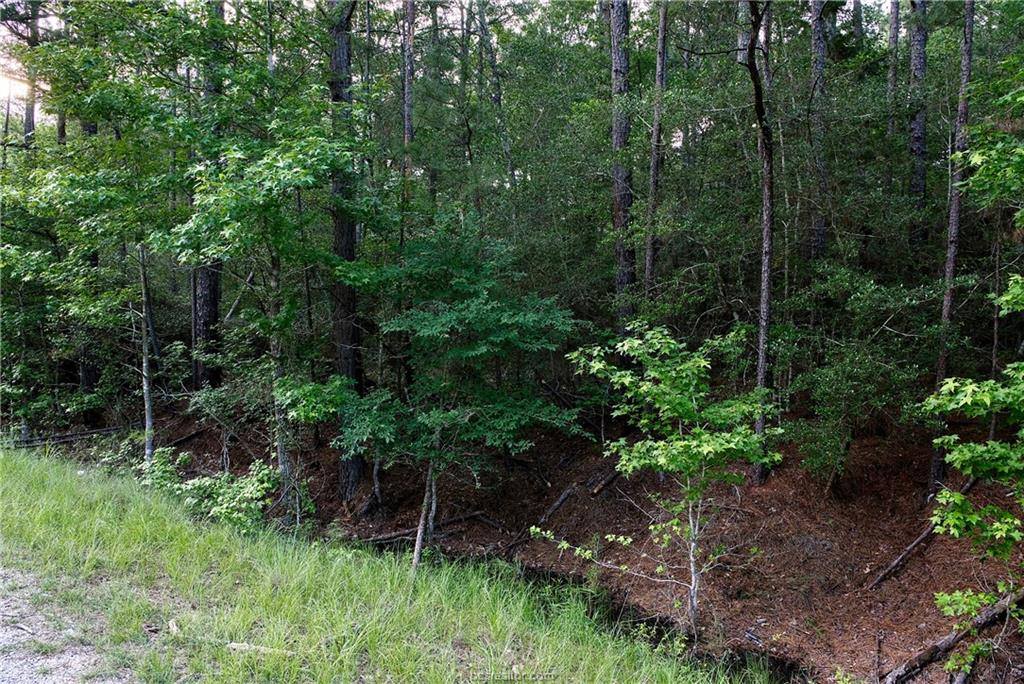 Lot 6 Willow Creek, Huntsville, TX 77340