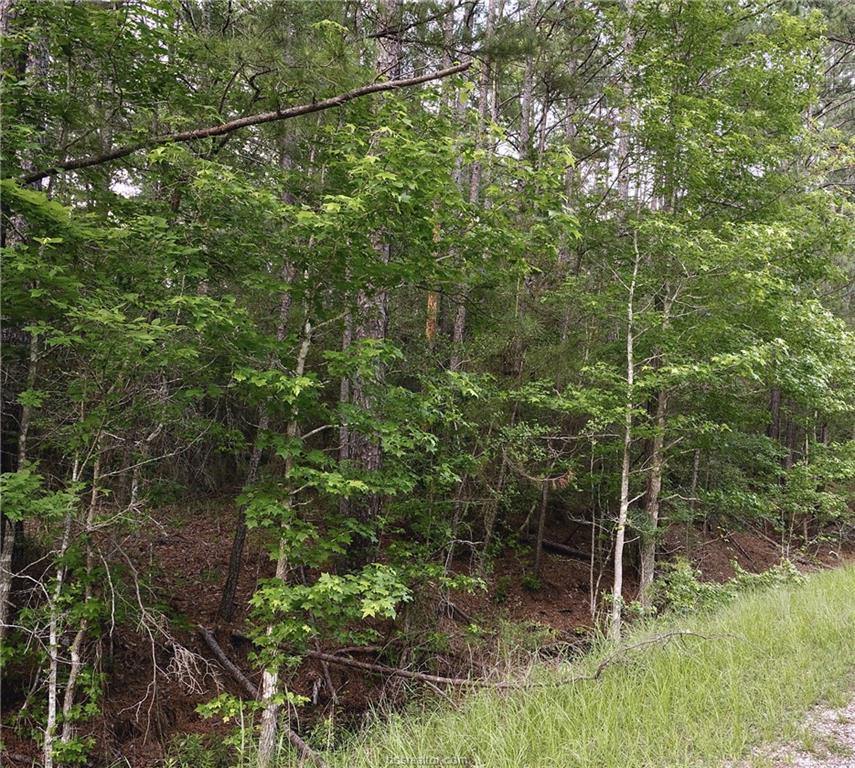 Lot 6 Willow Creek, Huntsville, TX 77340