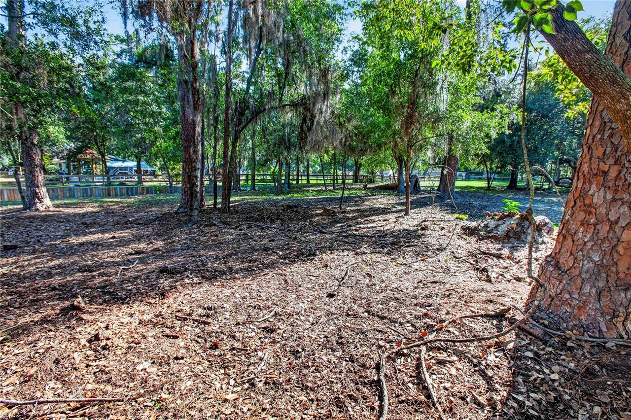 10627 Mcintosh Road, Thonotosassa, FL 33592