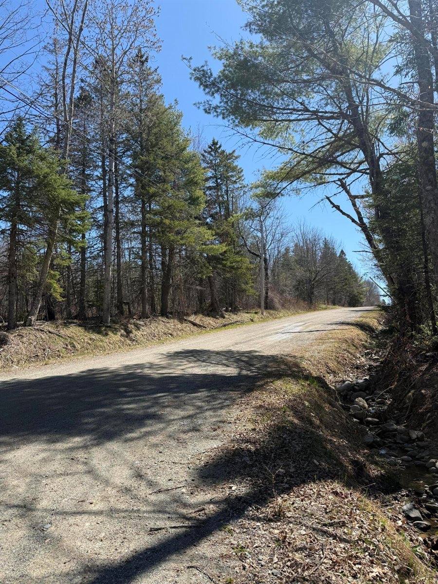 Lot 017-00 Fisher Road, Holden, ME 04429