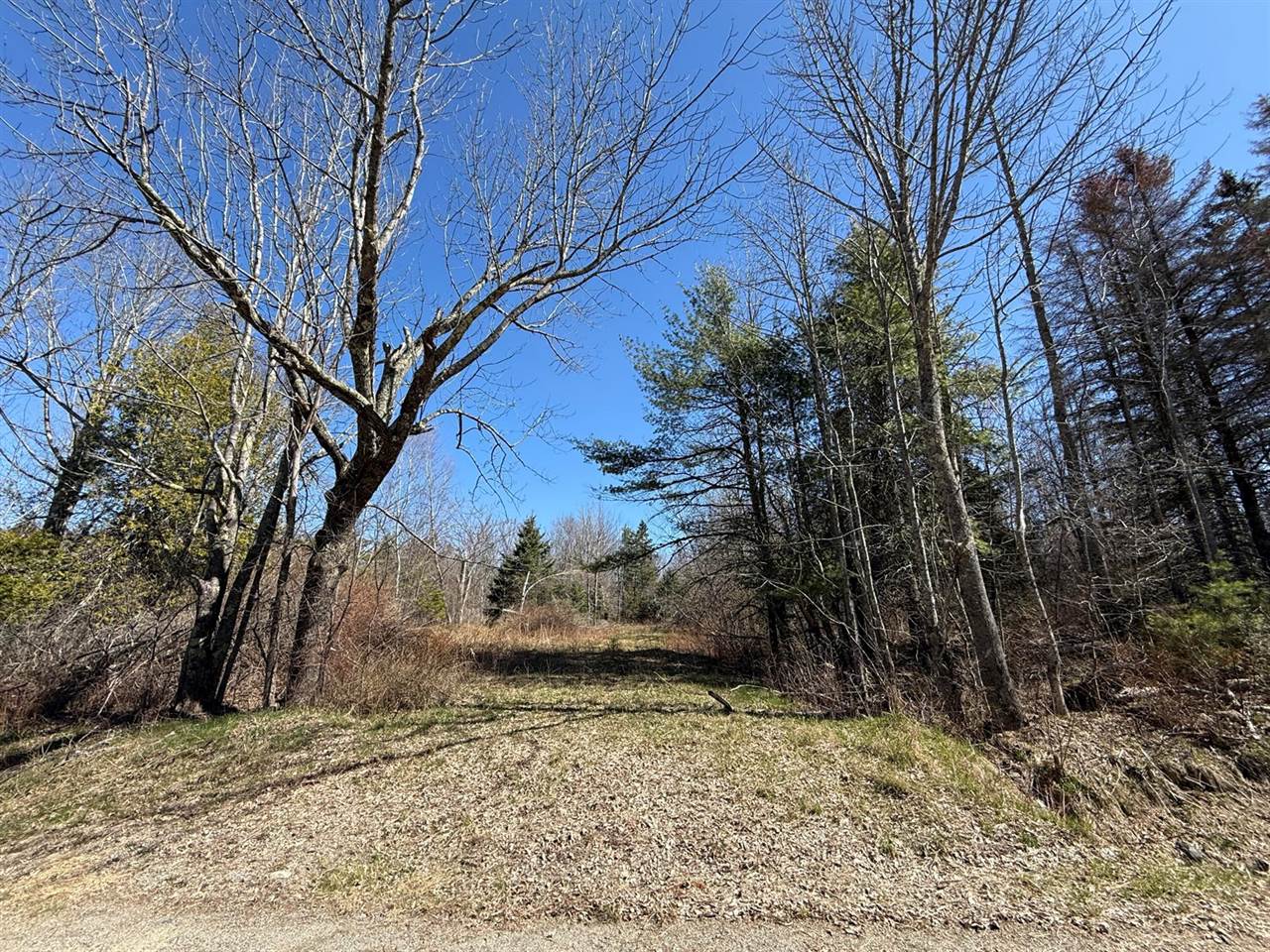 Lot 017-00 Fisher Road, Holden, ME 04429