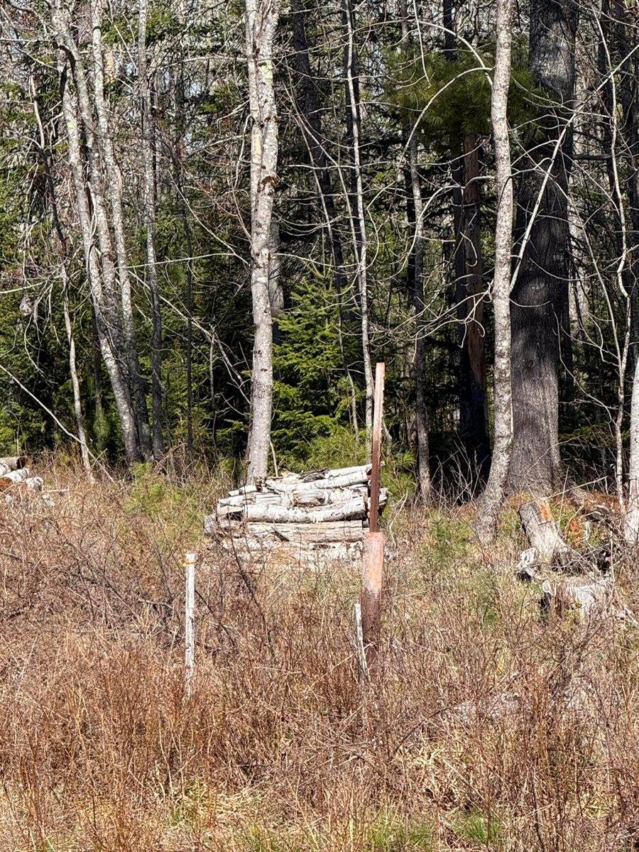 Lot 017-00 Fisher Road, Holden, ME 04429