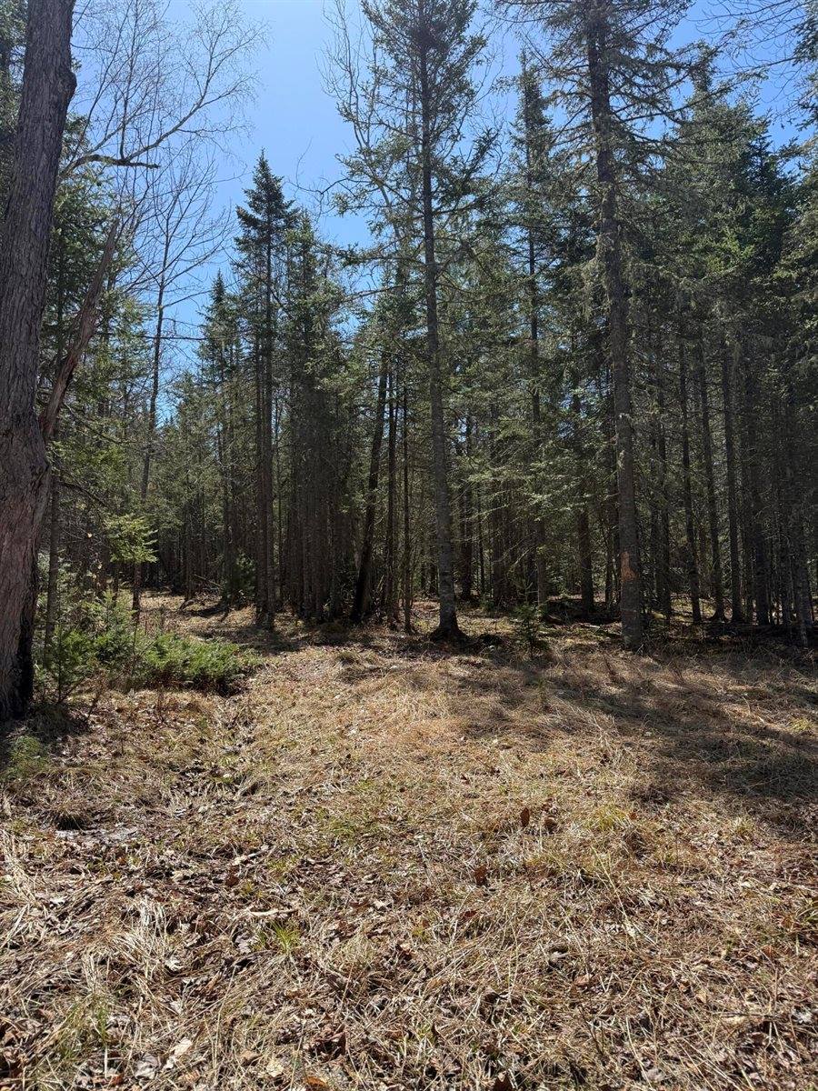 Lot 017-00 Fisher Road, Holden, ME 04429
