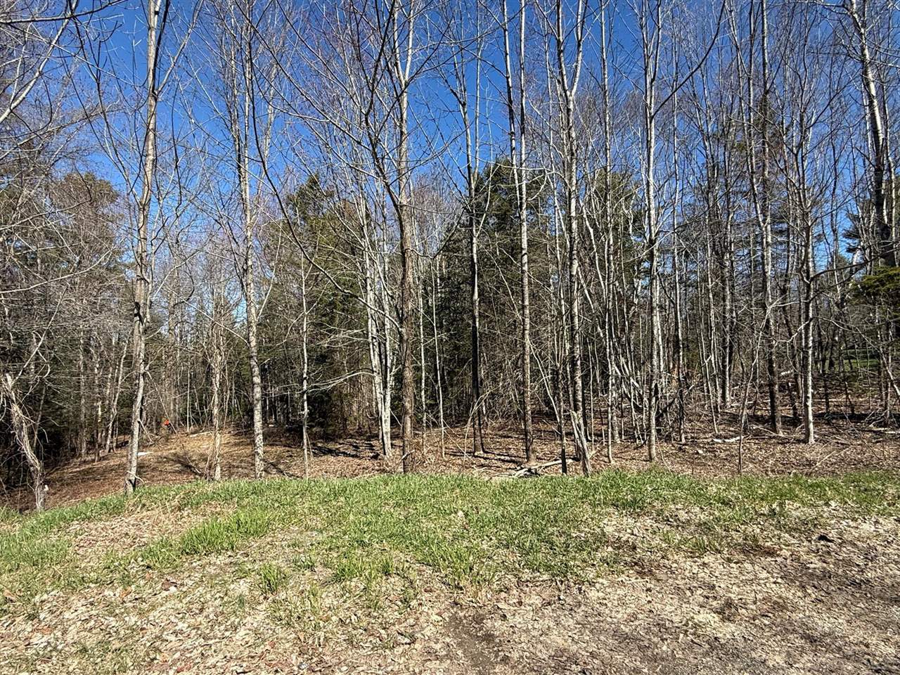 Lot 017-00 Fisher Road, Holden, ME 04429