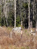 Lot 017-00 Fisher Road, Holden, ME 04429