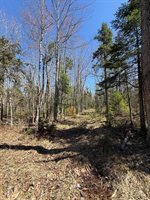 Lot 017-00 Fisher Road, Holden, ME 04429