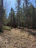 Lot 017-00 Fisher Road, Holden, ME 04429