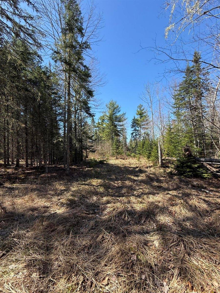 Lot 016-01 142 Old Fisher Rd Road, Holden, ME 04429