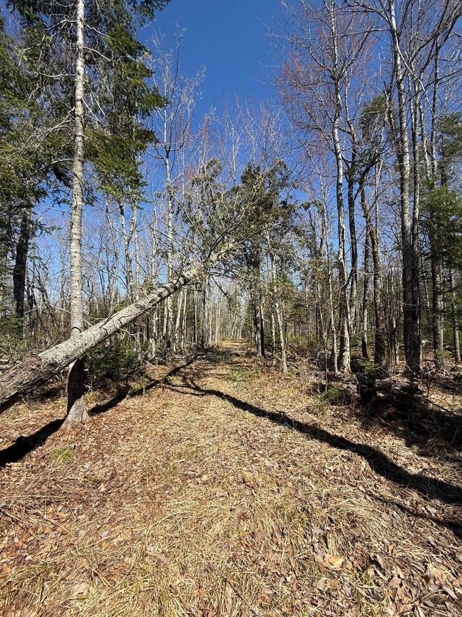 Lot 016-01 142 Old Fisher Rd Road, Holden, ME 04429