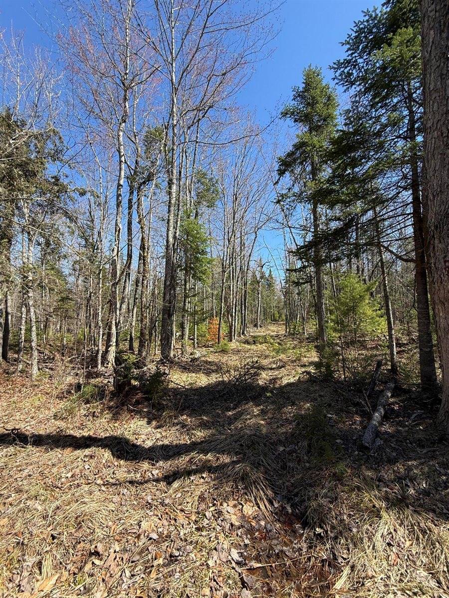 Lot 016-01 142 Old Fisher Rd Road, Holden, ME 04429