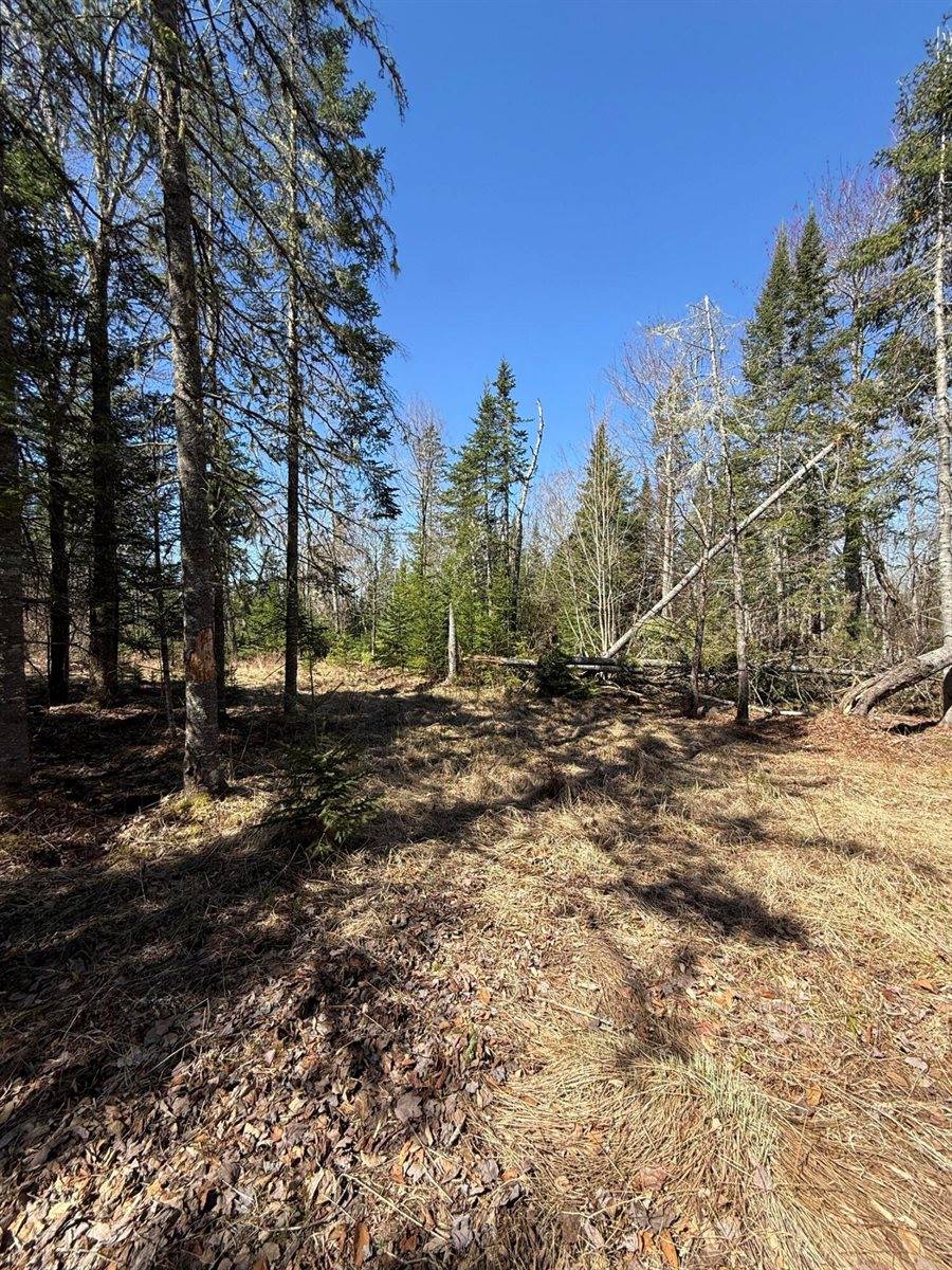 Lot 016-01 142 Old Fisher Rd Road, Holden, ME 04429