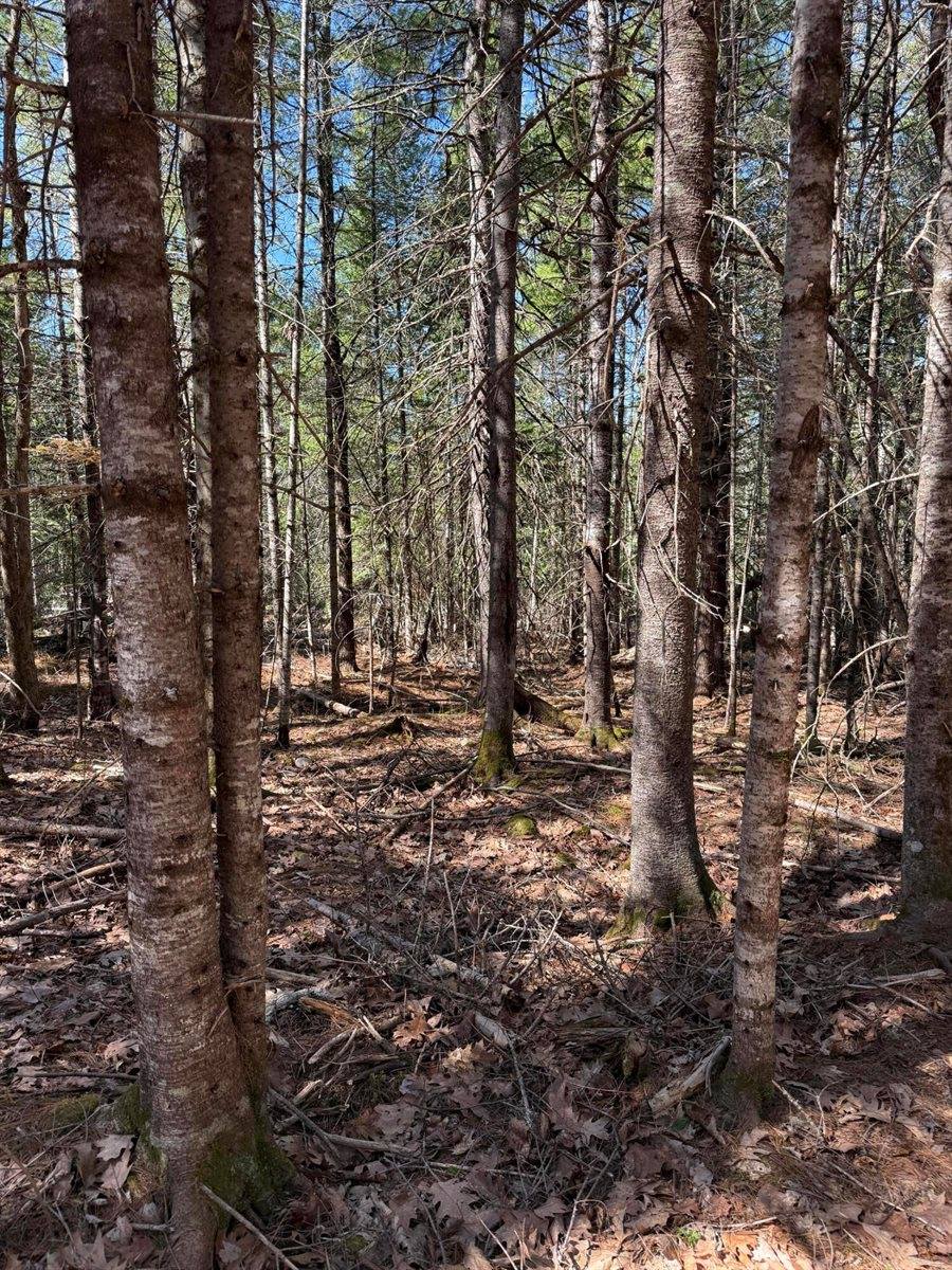 Lot 016-01 142 Old Fisher Rd Road, Holden, ME 04429