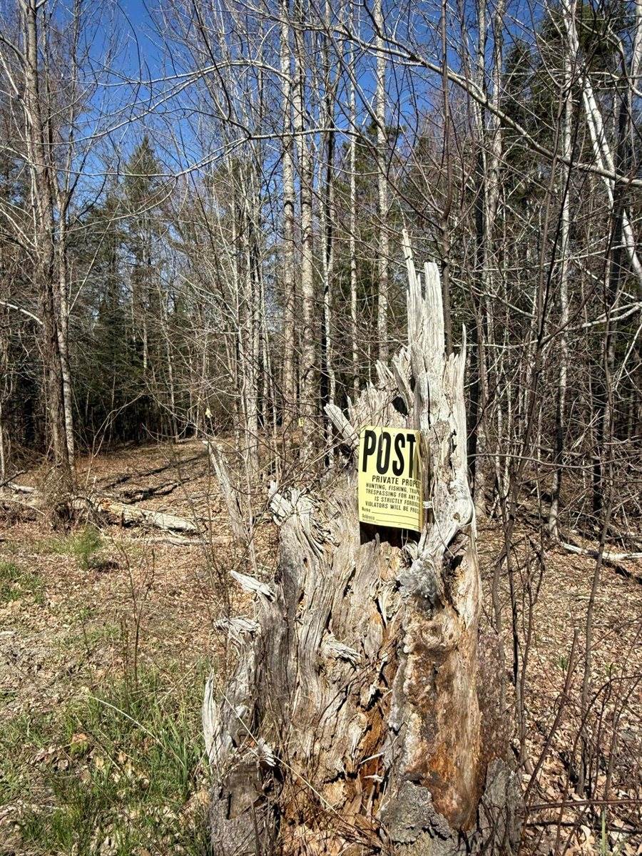 Lot 016-01 142 Old Fisher Rd Road, Holden, ME 04429