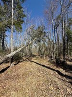 Lot 016-01 142 Old Fisher Rd Road, Holden, ME 04429